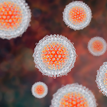 Hepatitis C