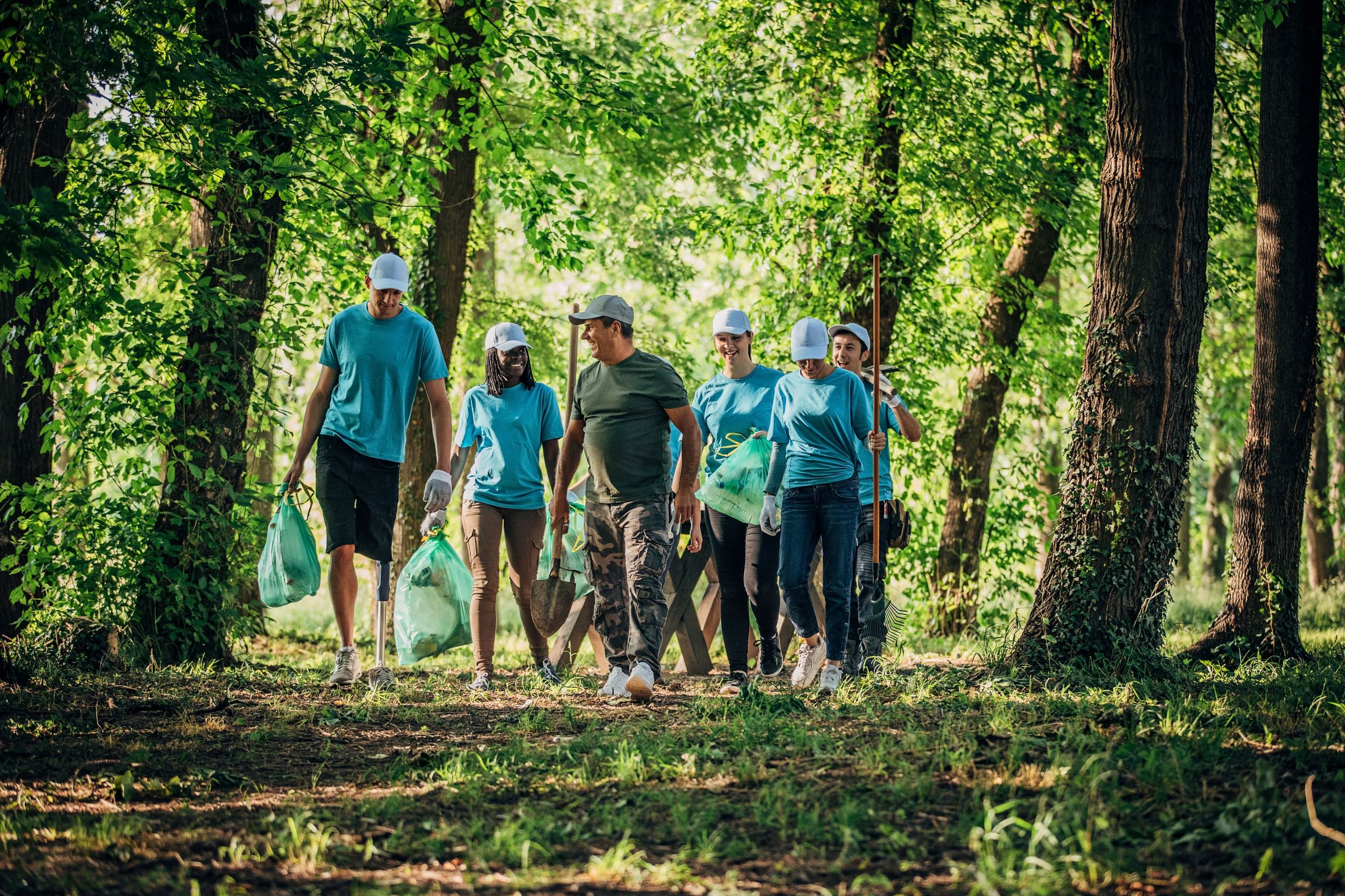 Group of volunteers picking up trash in a forest