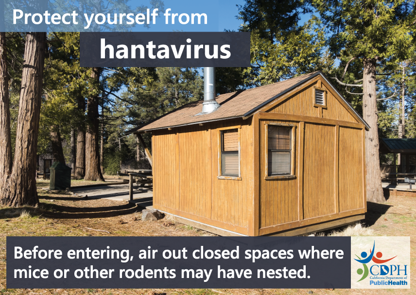 Protect yourself from hantavirus - before entering, air out closed spaces where mice or other rodents may have nested.