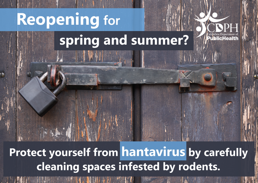 Reopening for spring and summer? Protect yourself from hantavirus by carefully cleaning spaces infested by rodents.