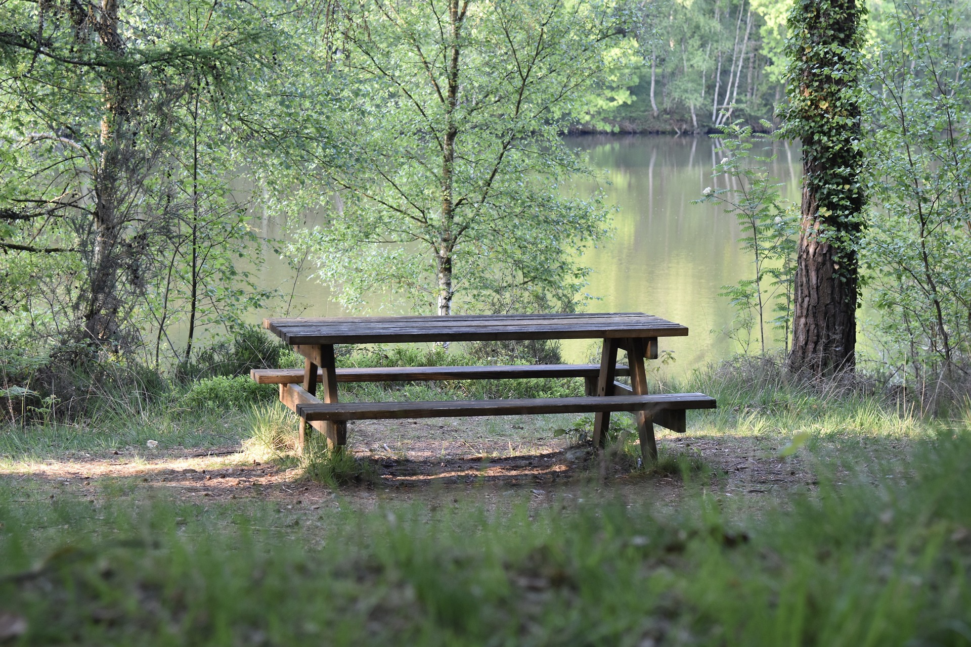 Picnic bench under trees nearby a lake