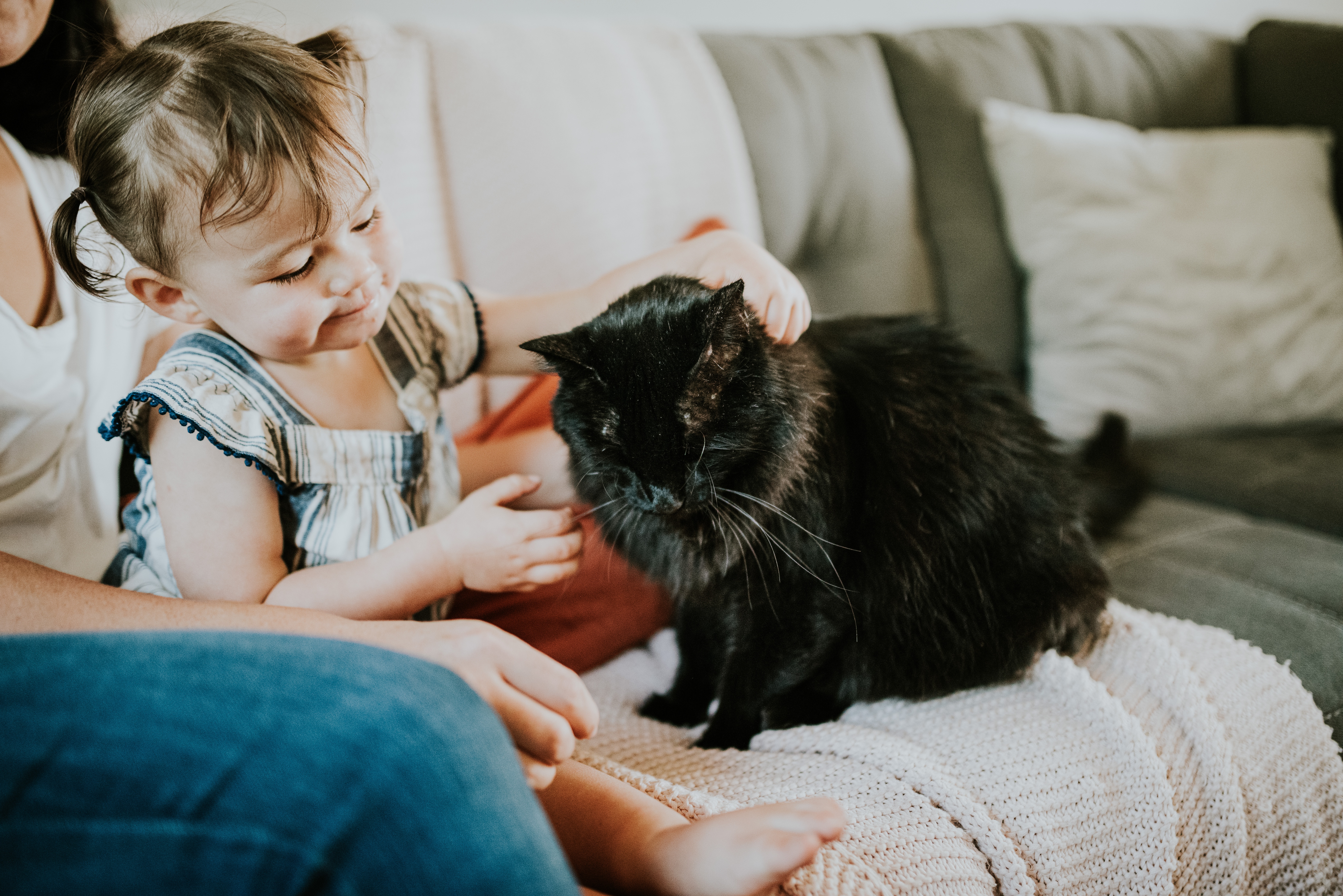 Young child petting black cat with adult sitting nearby.