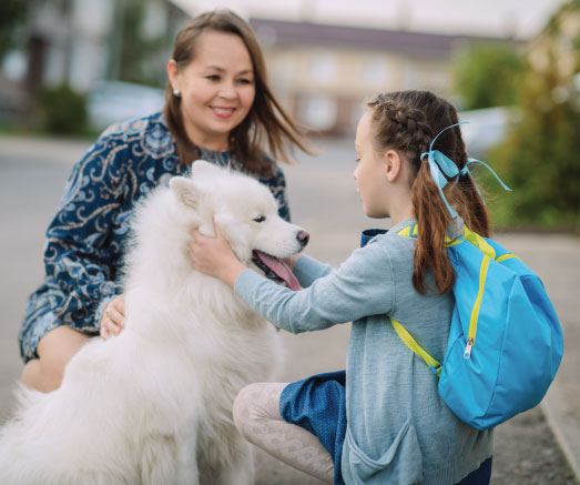 Girl petting dog with adult nearby
