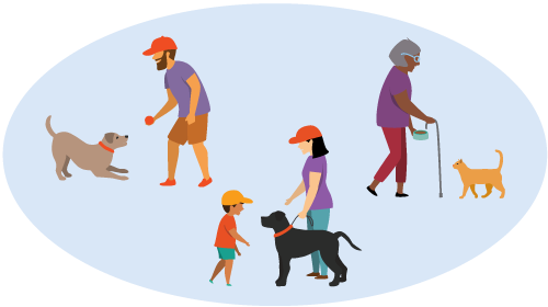 People with their pets: person playing fetch with dog; child approaching an adult and dog; older adult feeding cat