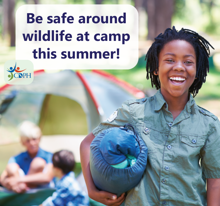 Be safe around wildlife at camp this summer!
