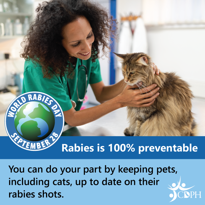 Rabies is 100% preventable. You can do your part by keeping pets, including cats, up-to-date on their rabies shots.