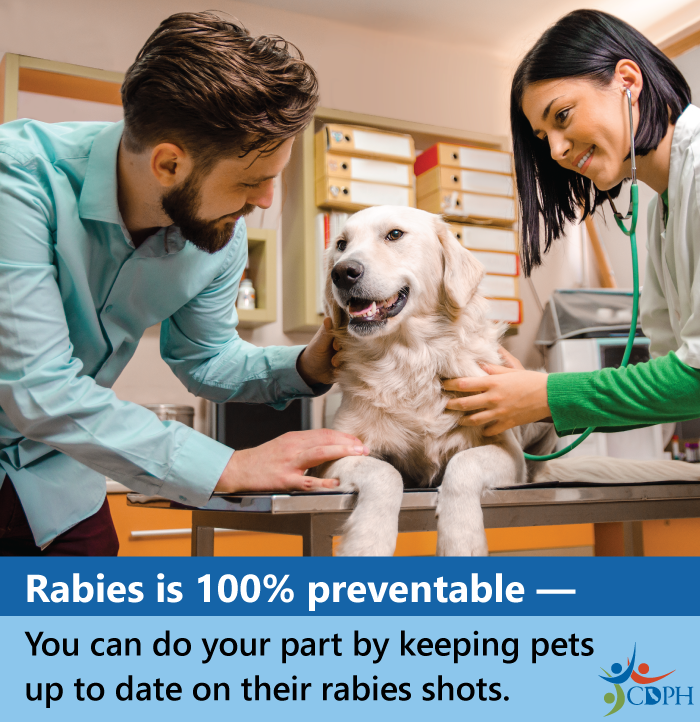 Rabies is 100% preventable - you can do your part by keeping pets up to date on their rabies shots