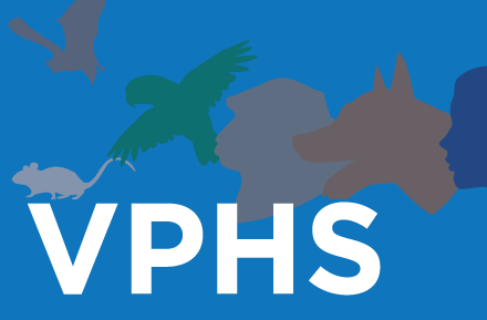 VPHS_Section-Images-for-Web