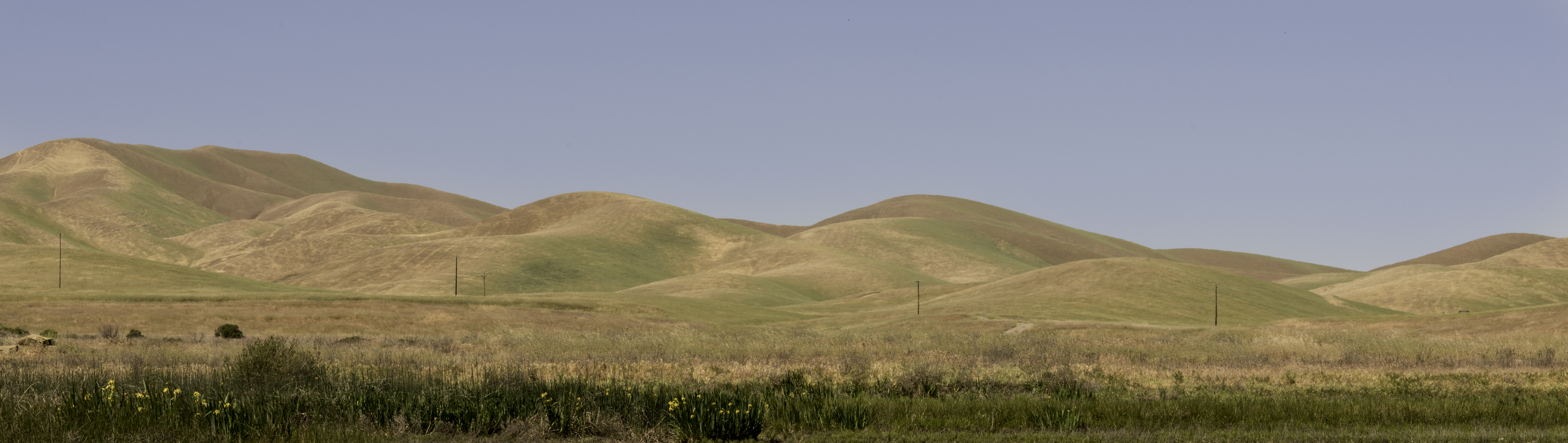 Landscape ng Central Valley