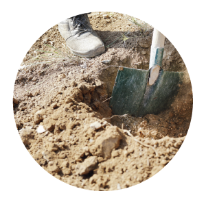 Digging with shovel in the dirt