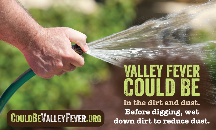 Valley fever could be in the dirt and dust. Before digging, wet down dirt to reduce dust.