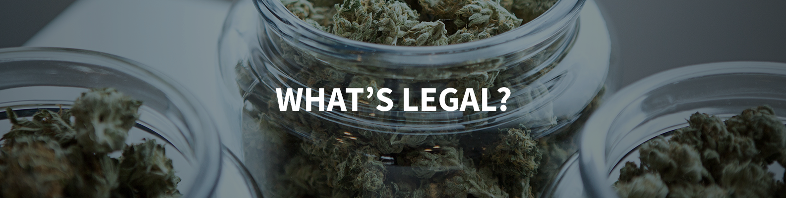 picture of cannabis flowers with text across image that reads: What's legal?