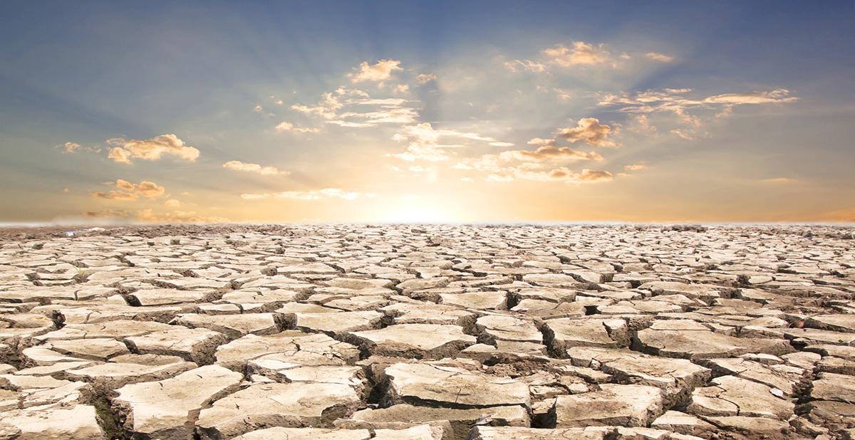 Cracked earth from drought