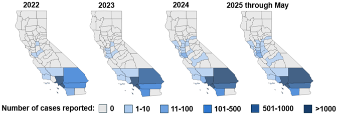 Cumulative Number of C. auris cases reported to CDPH by County, 2022-May 2025