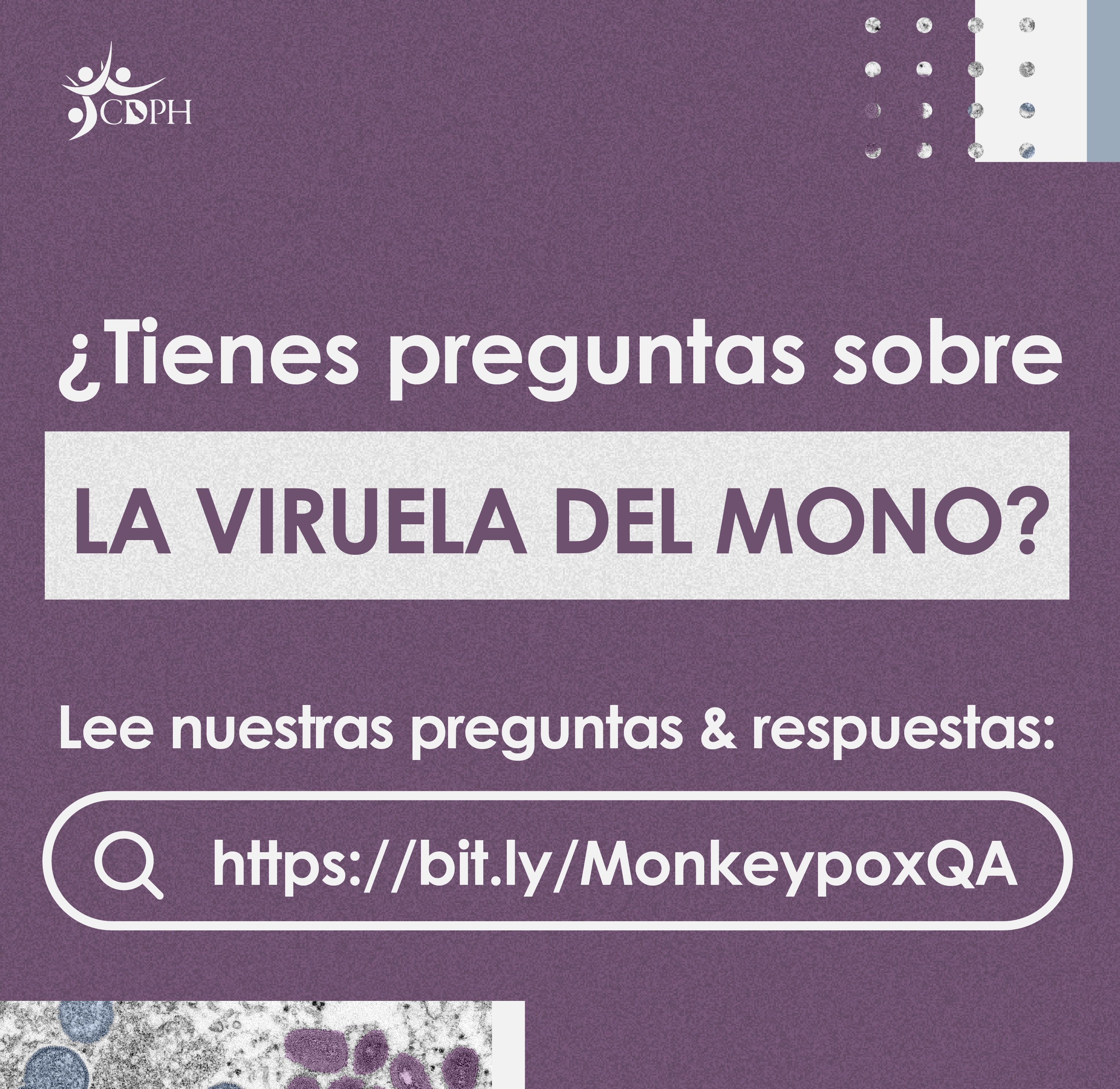 Preguntas y respuestas sobre la viruela del mono  