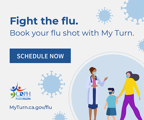 Fight the Flu widget