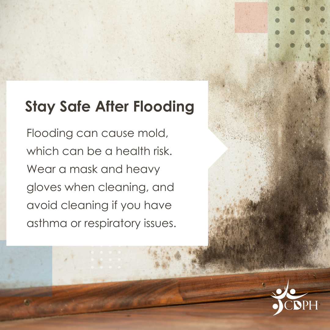 Flooding can cause mold, which can be a health risk. Wear a mask and heavy gloves when cleaning,