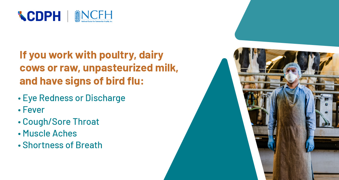 If you work with poultry, dair cows or raw, unpasteurized milk, and have signs of bird flu: eye redness or discharge, fever, cou