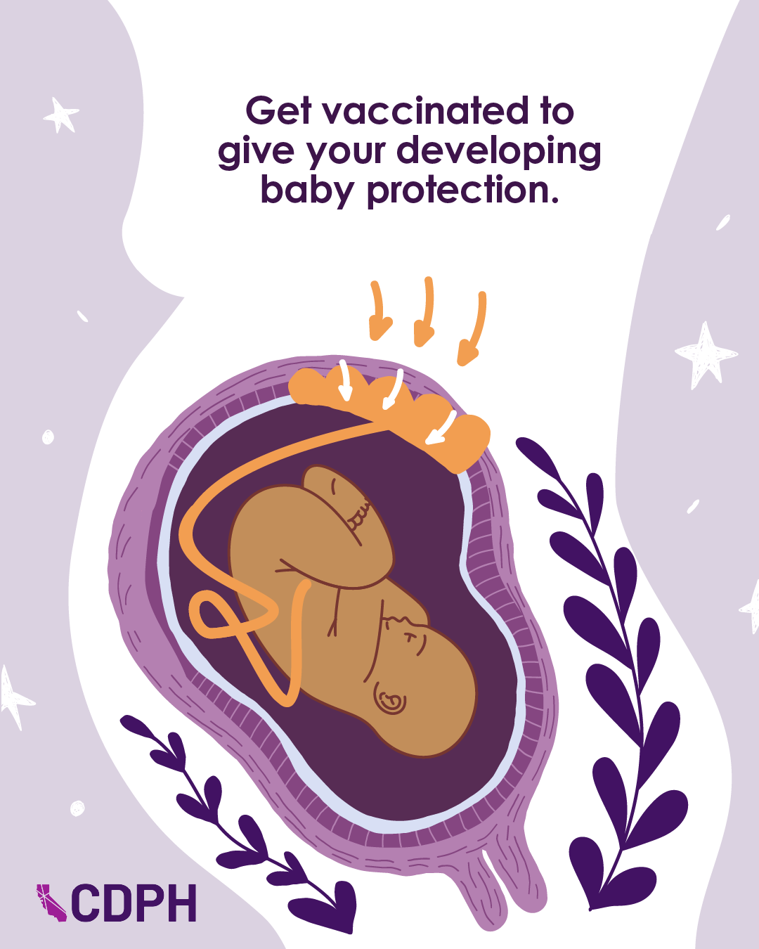 Get vaccinated to give your developing baby proection.