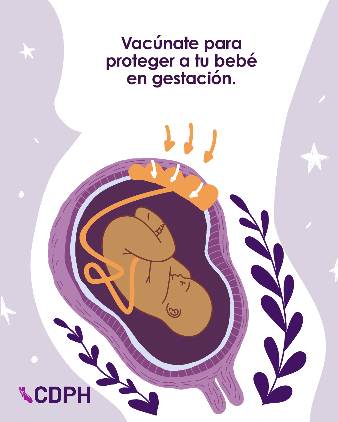 vacunate para proteger a tu bebe en gestacion