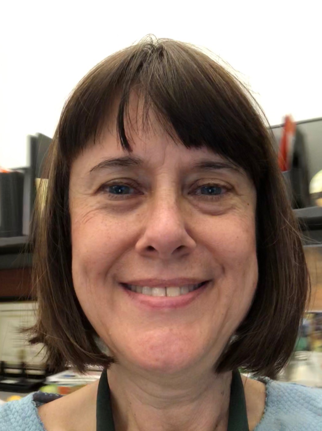 Skip to main content Skip to main content