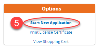Start New Application link in Options box