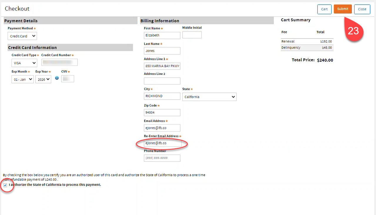 Checkout screen to emphasize the payment authorization checkbox and email address.