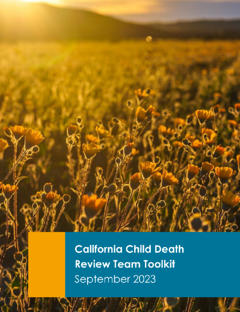 Skip to main content Skip to main content