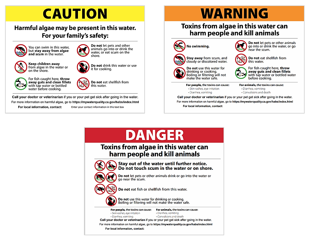 Skip to main content Skip to main content