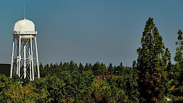 View of water tower, surrounded by trees