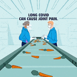 Two workers wearing  masks, gloves, and hairnets while they inspect and select carrots on a conveyer belt. Above them it says: “LONG COVID CAN CAUSE JOINT PAIN. The camera moves down the conveyer belt to the end of the room, passing other workers. The carrots slide into a machine near the wall. On the wall, a screen appears that first shows the words: “PREVENT LONG COVID. GET VACCINATED AND BOOSTED.” Then it shows the California Department of Public Health logo above cdph.ca.gov/long.