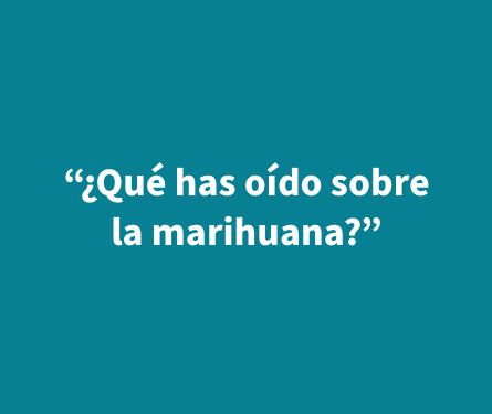 Que has oido sobre la marihuana? Que has oido sobre la marihuana?