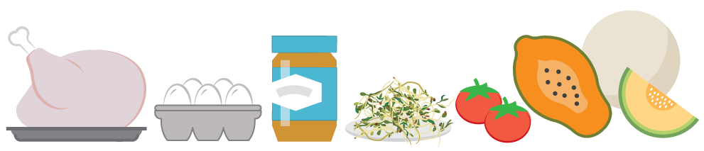 Foods that have been implicated in salmonellosis outbreaks