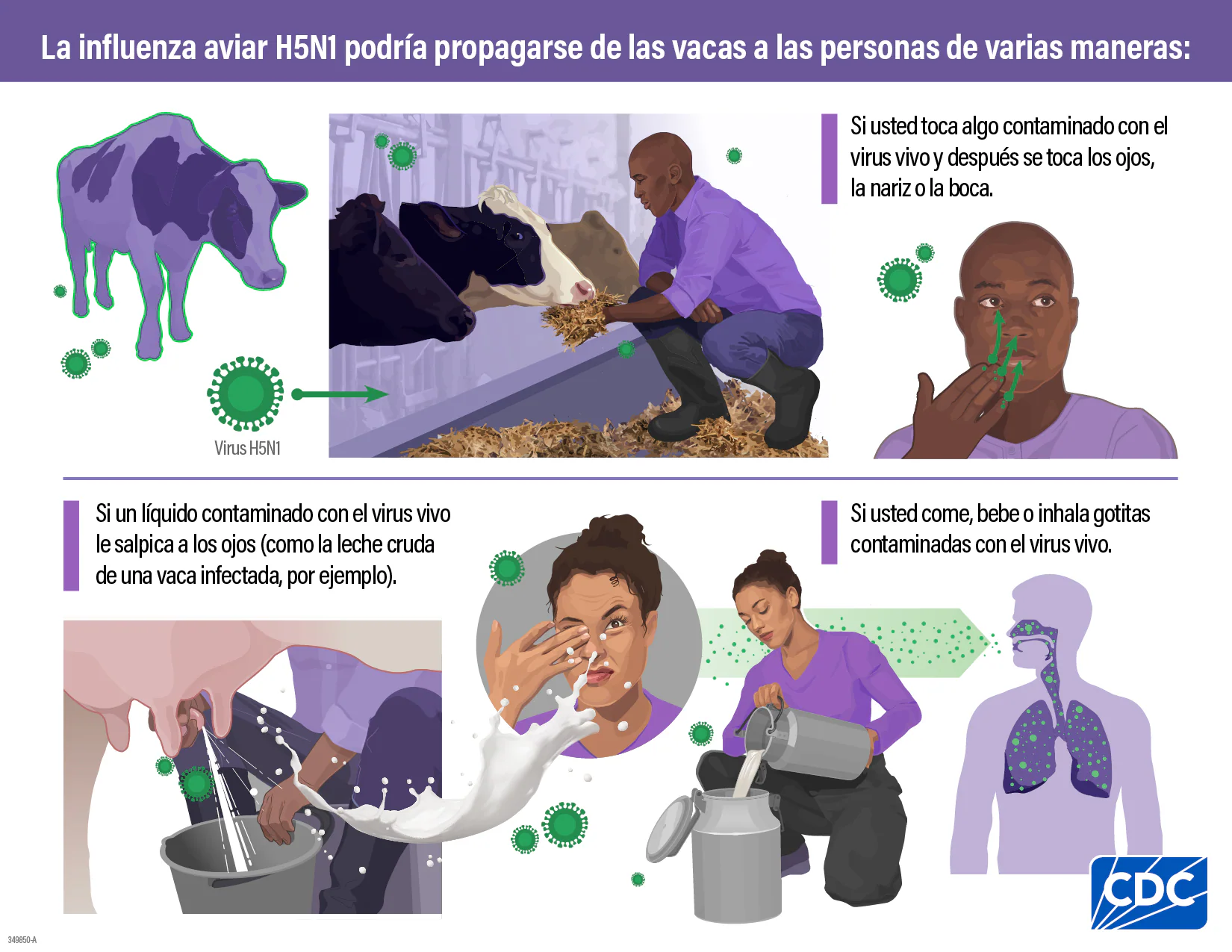 La gripe aviar se propaga por contacto con materiales infectados y luego tocarse los ojos, la nariz o boca con manos sin lavar. La gripe aviar se propaga por contacto con materiales infectados y luego tocarse los ojos, la nariz o boca con manos sin lavar.