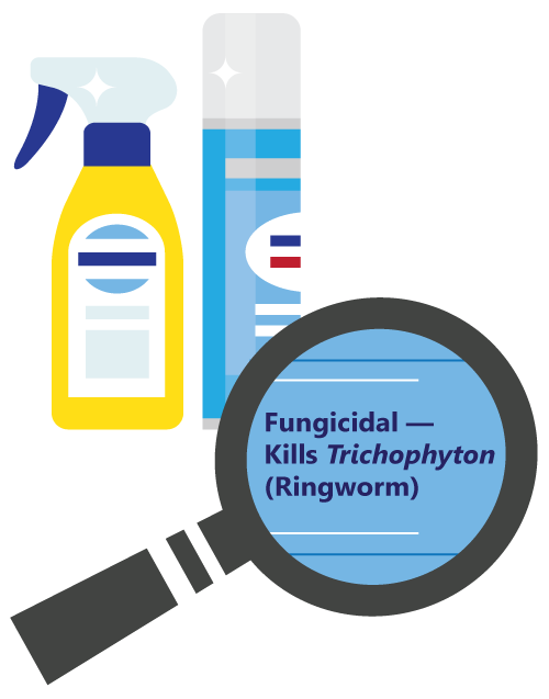 Ringworm-disinfectant Look for a product that is listed as a fungicidal, or that kills Trichophyton (ringworm)