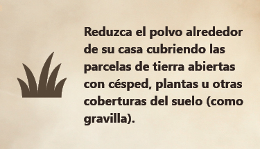 Reduzca el polvo alrededor de su casa cubriendo las parcelas de tierra abiertas con césped, plantas u otras coberturas del suelo Reduzca el polvo alrededor de su casa cubriendo las parcelas de tierra abiertas con césped, plantas u otras coberturas del suelo