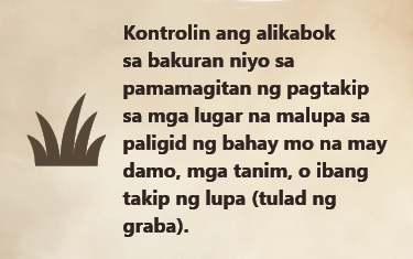 VF_Prevent_TG1 Kontrolin ang alikabok sa bakuran niyo sa pamamagitan ng pagtakip sa mga lugar na malupa sa paligid ng bahay mo na may damo, m