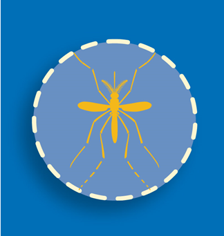 Zika mosquito image