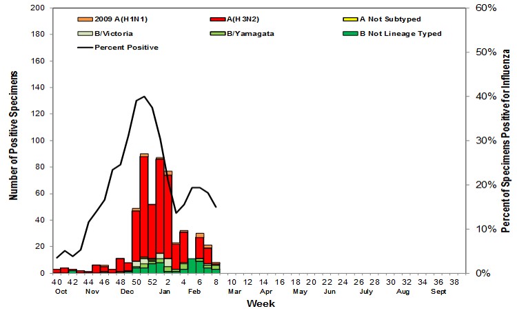 Flu Graph from Weekly Influenza Like Illness Report