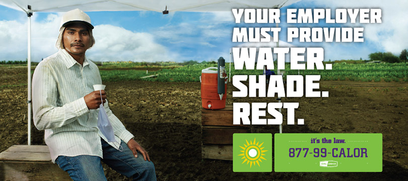 Farmworker taking a break in the shade with water