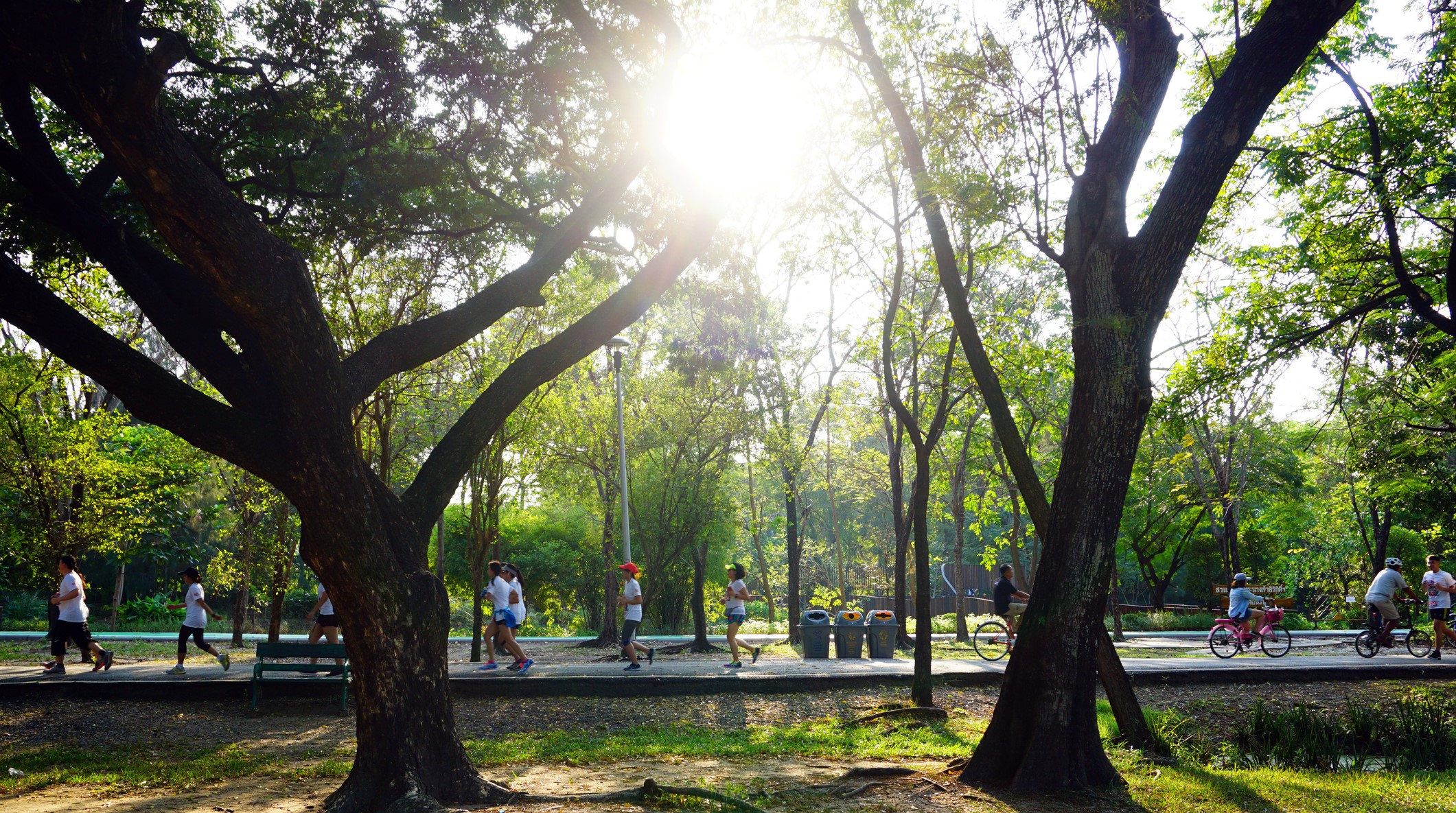 “An image of several runners and bikers in a park