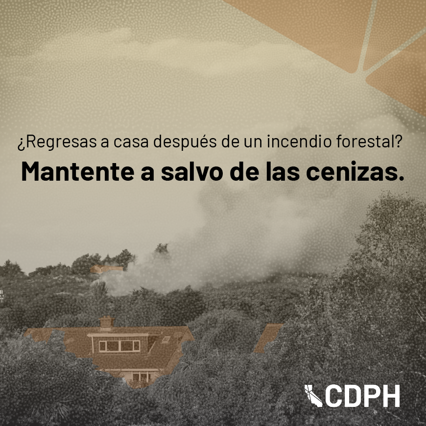 ¿Regresas a casa después de un incendio forestal? Mantente a salvo de las cenizas. ¿Regresas a casa después de un incendio forestal? Mantente a salvo de las cenizas.