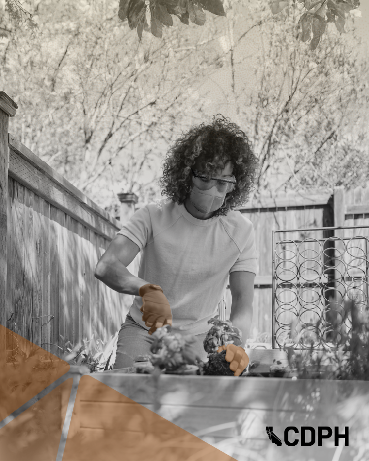 Persona jardinando en el jardín trasero Persona jardinando en el jardín trasero