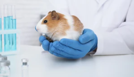 Lab worker holding a mouse Lab worker holding a mouse